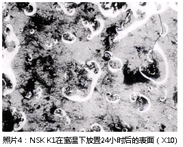 照片4：NSK K1在室溫下放置24小時(shí)后的表面（X10）